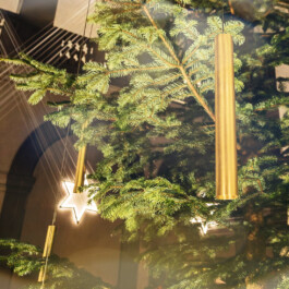 Studio Carina Deuschl