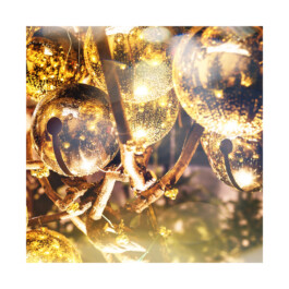 Studio Carina Deuschl