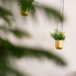  Studio Carina Deuschl