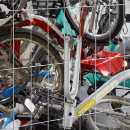 Studio Carina Deuschl